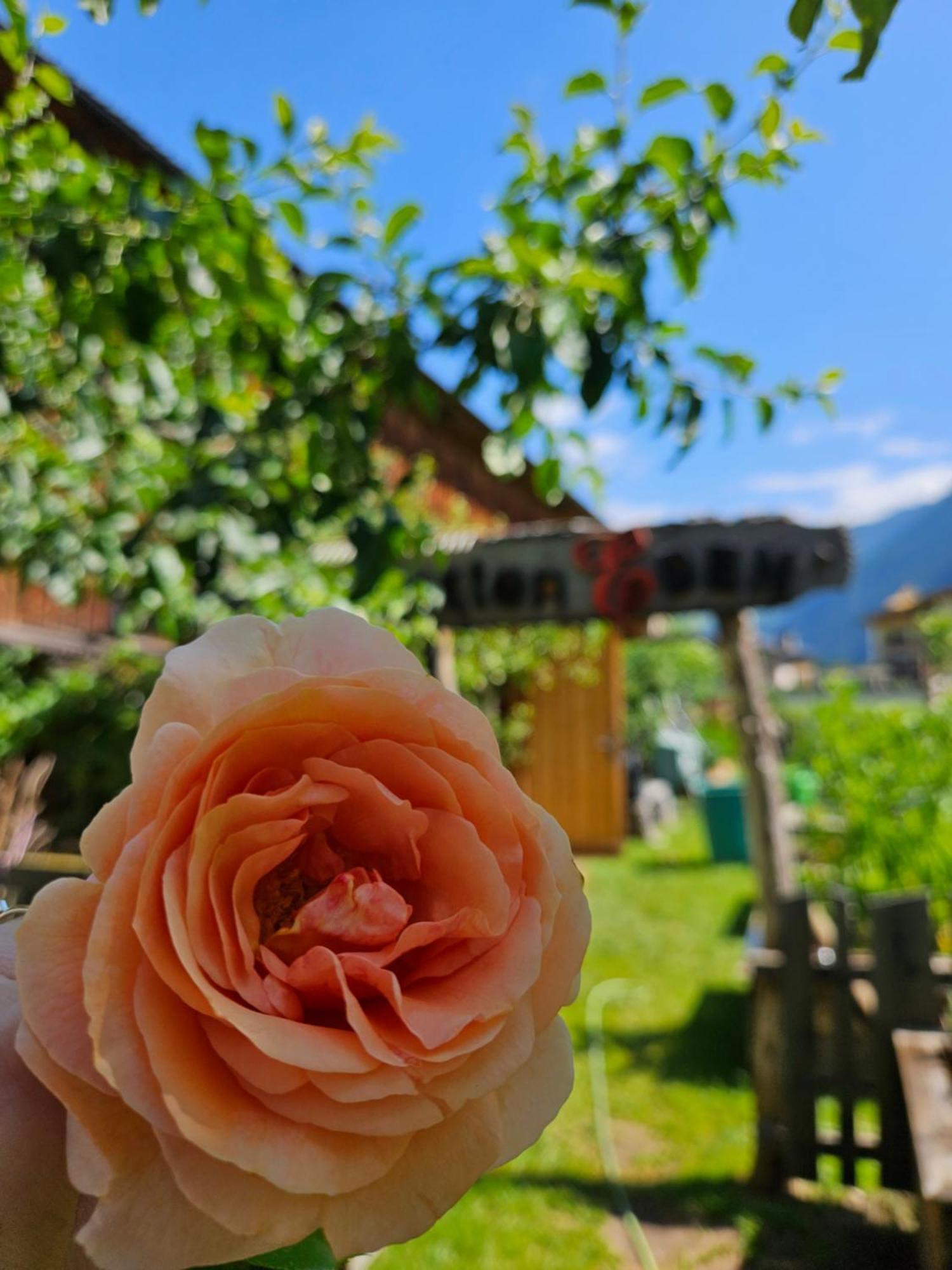Hotel Edenlehen 메이른호픈 외부 사진